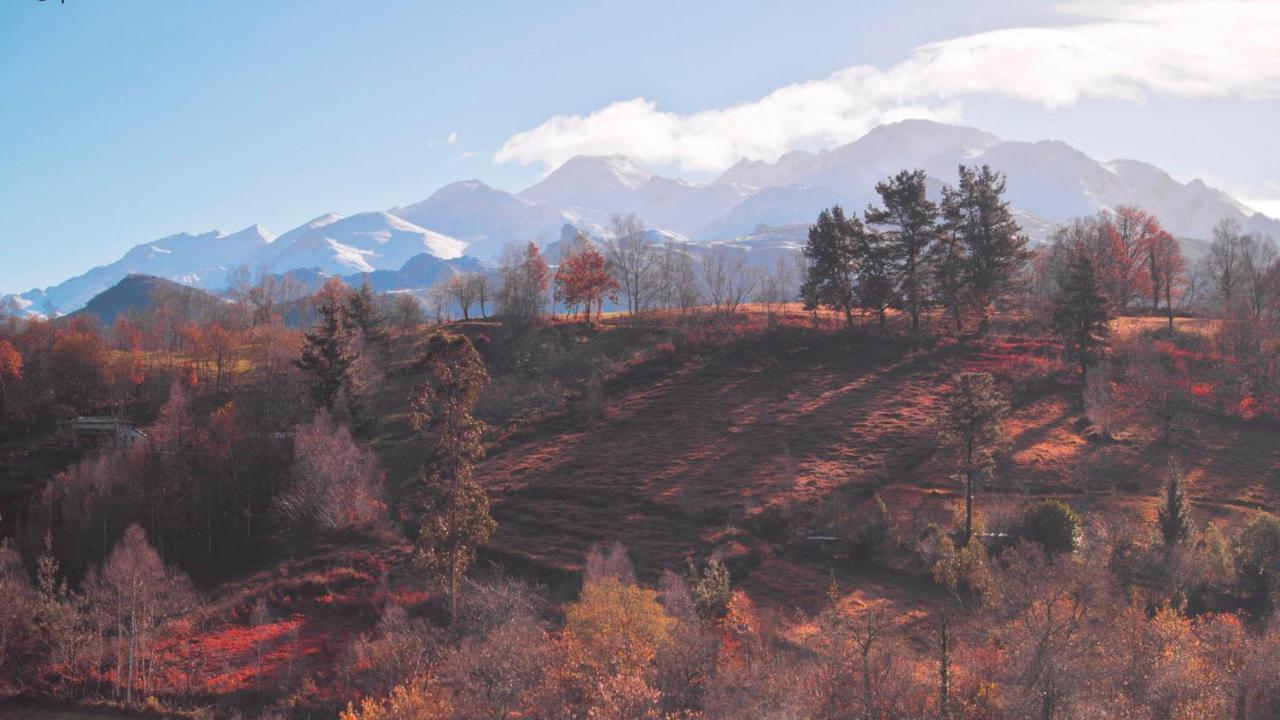 Pulieru - Picos De Europa Views, Designed For All Seasons Onís Buitenkant foto